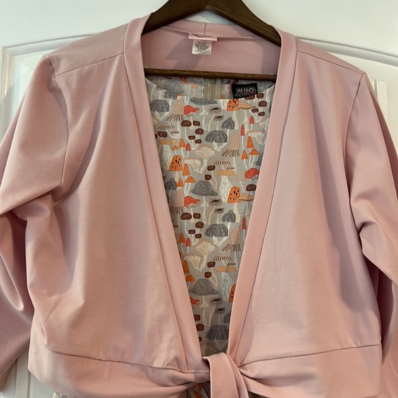 Retrolicious Mushroom Pocketed Dress With Pink Wrap Cardigan - Picture 14 of 15